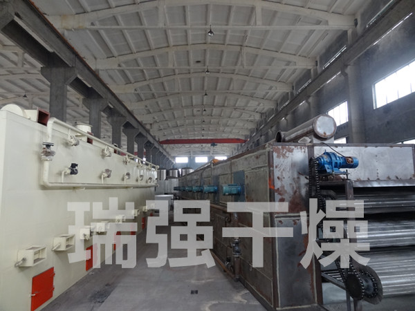 红枣多层带式干燥机